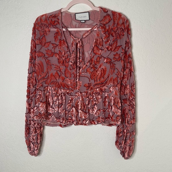 Alexis Long Sleeve Silk Sheer Velvet Top Front Tie Deep V Neckline Size M Salmon - Picture 1 of 12